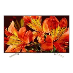 Sony FW-49BZ35F Classe 49" (48.5" visualisable) BRAVIA Professional