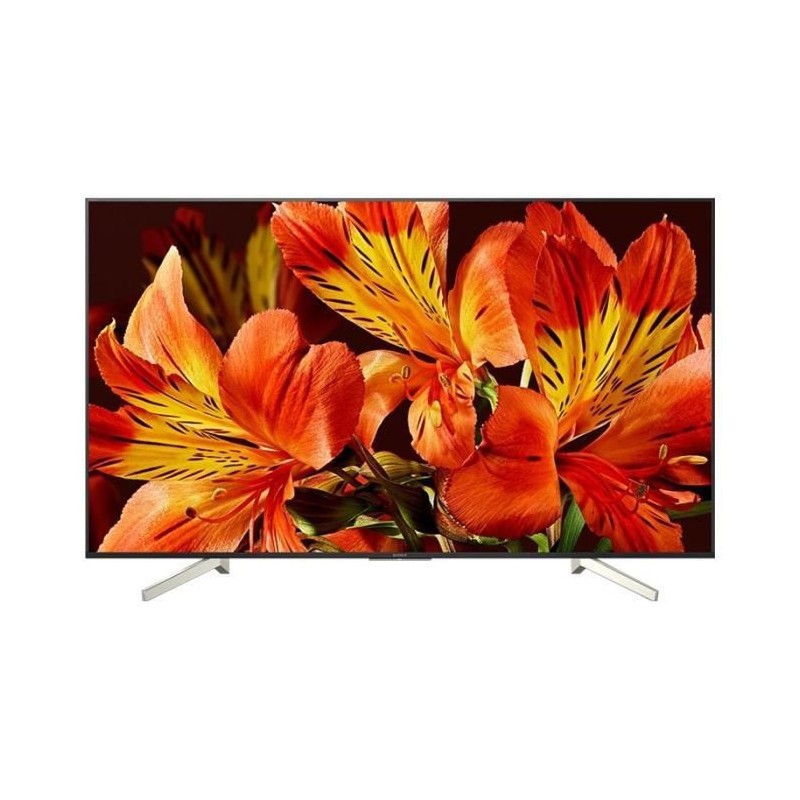 Sony FW-49BZ35F Classe 49" (48.5" visualisable) BRAVIA Professional