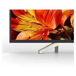 Sony FW-49BZ35F Classe 49" (48.5" visualisable) BRAVIA Professional